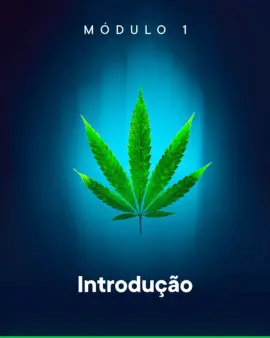 modulo1-curso-pratica--instituto-cannabis-na-pratica